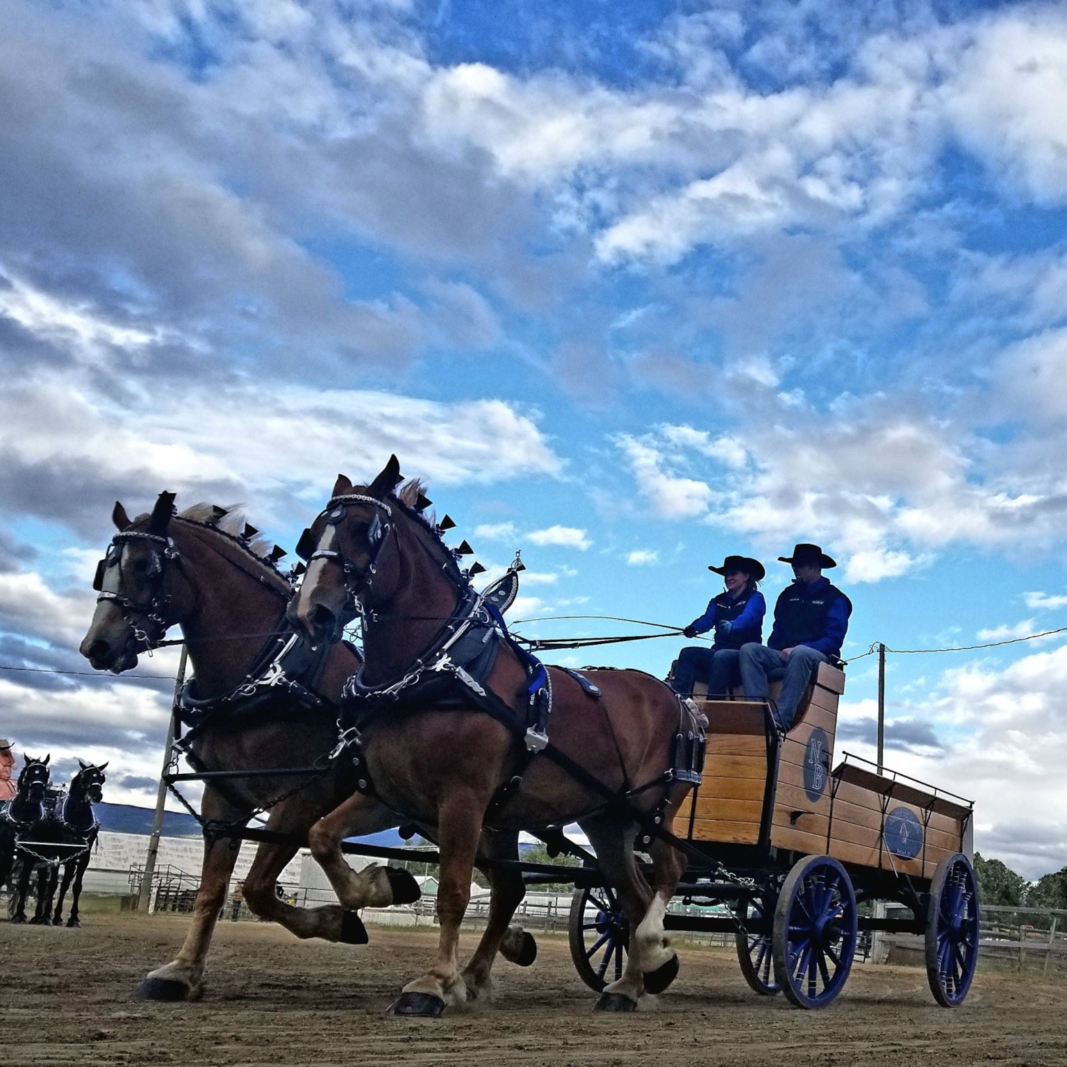 Big Sky Draft Horse Expo